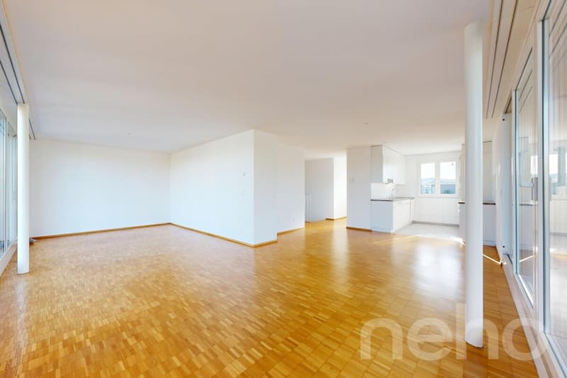 Appartamento 3.5 locali luminoso con terrazza spaziosa (4)