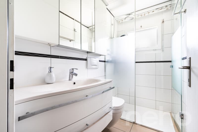 Maison mitoyenne moderne avec grand environnement (8)