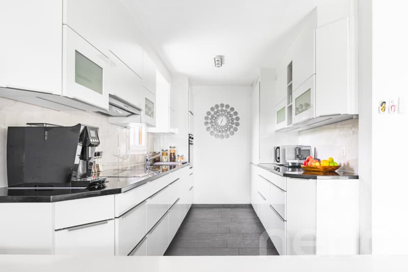 Maison mitoyenne moderne avec grand environnement (4)