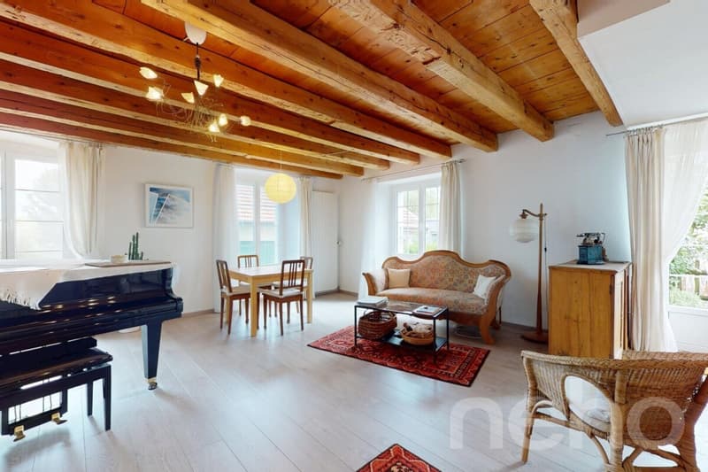 Maison villageoise rénovée avec jardin et fort potentiel (3)