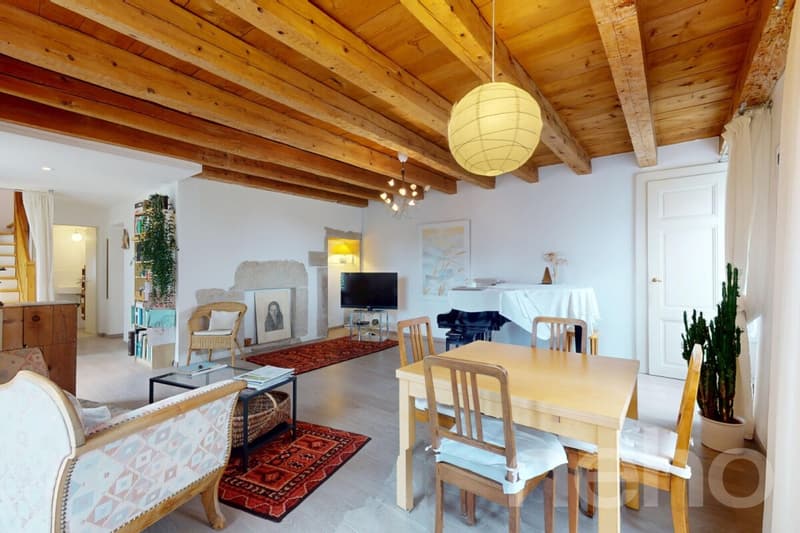 Maison villageoise rénovée avec jardin et fort potentiel (1)