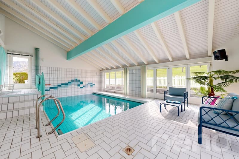 Beautiful family villa, indoor pool, terraces and forest view (4)