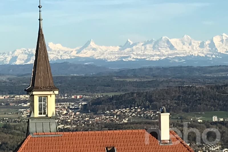 Grosszügige Attikawohnung mit Blick auf die Alpen (3)