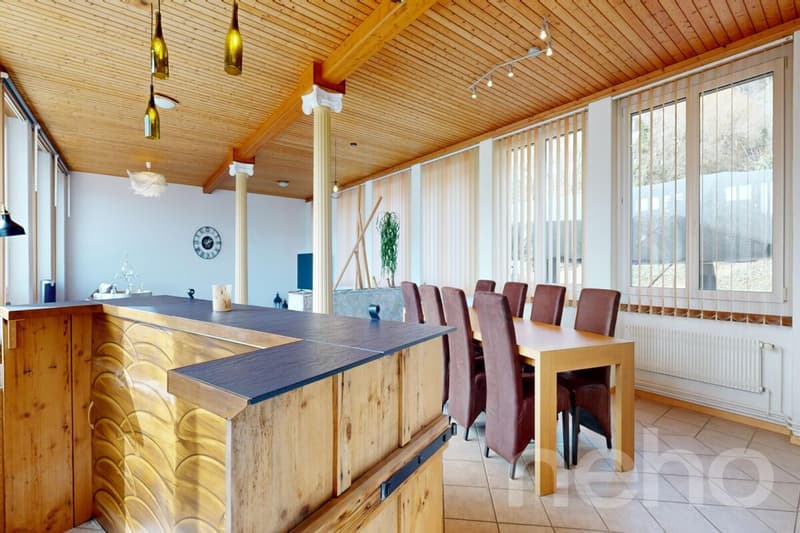 Large Family House of 400 m², 10 rooms and south exposure (4)