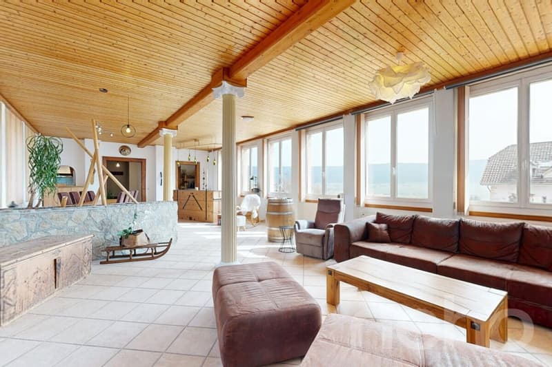 Large Family House of 400 m², 10 rooms and south exposure (2)