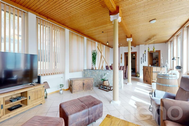 Large Family House of 400 m², 10 rooms and south exposure (12)