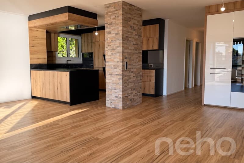 Atemberaubender Seeblick für diese 4.5-Zimmer-Wohnung, sorgfältig renoviert (4)
