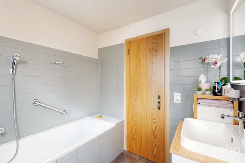 Bel appartement vendu meublé au dernier étage avec mezzanine (9)