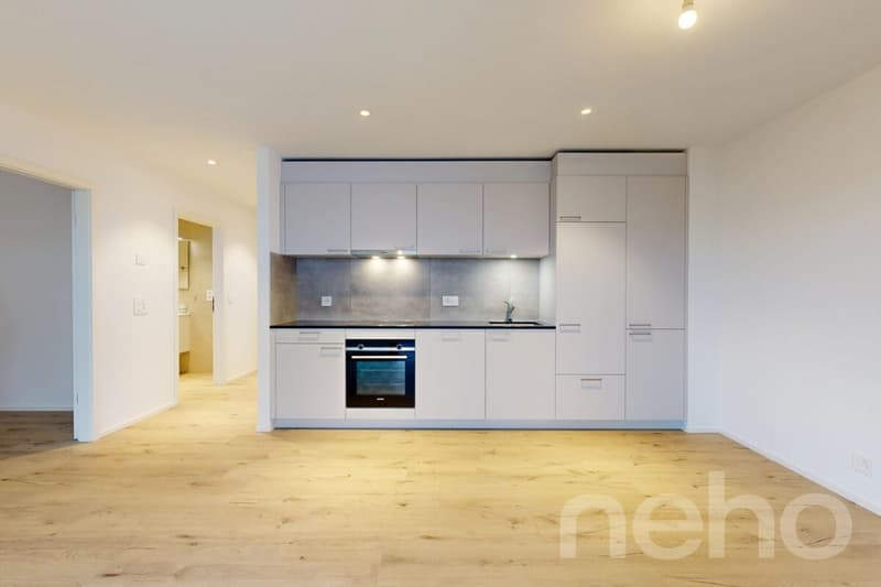 Schönes neues Apartment in Yverdon (12)