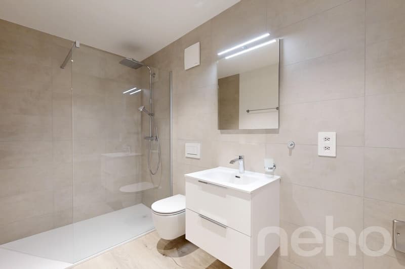 Schönes neues Apartment in Yverdon (10)