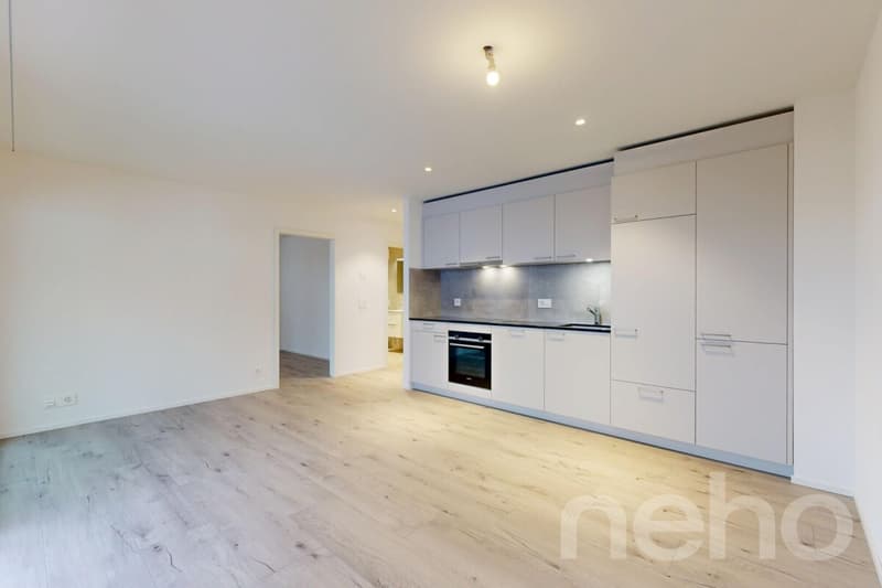 Schönes neues Apartment in Yverdon (5)