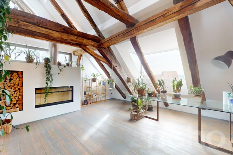 Einzigartiges Bijou mit modernem Wohnkomfort und grosser Terrasse (3)