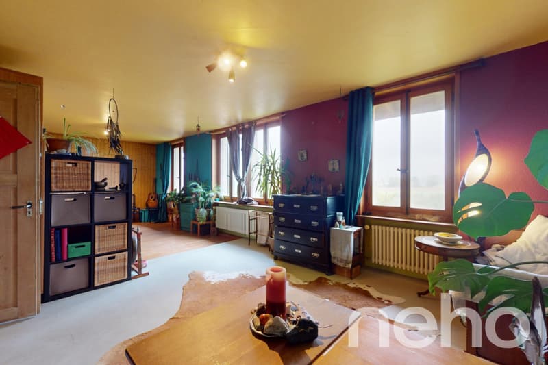 Grosszügiges 10-Zimmer EFH in Safern! (5)