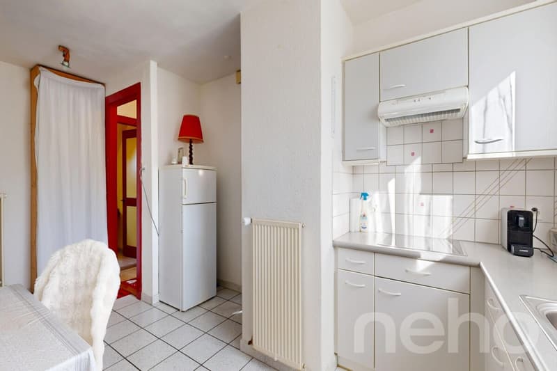 Grande casa familiare con 2 appartamenti: 6,5 locali + 3 locali (9)
