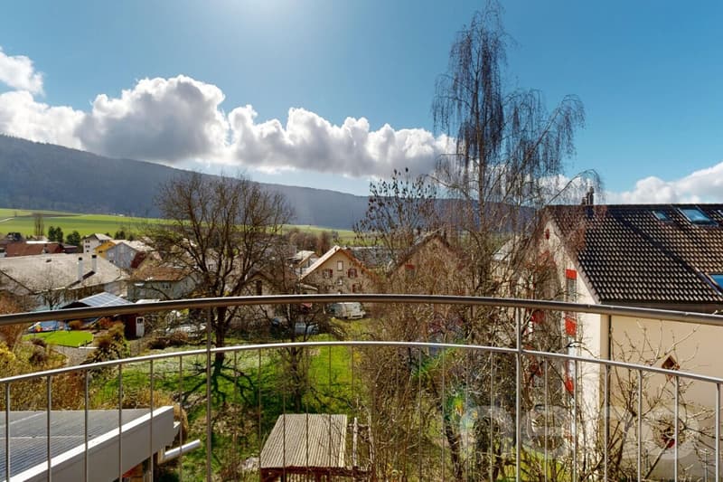 Grande casa familiare con 2 appartamenti: 6,5 locali + 3 locali (2)