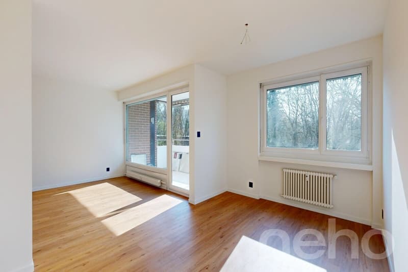 Completely renovated apartment with balcony and underground parking in Rheinfelden (5)