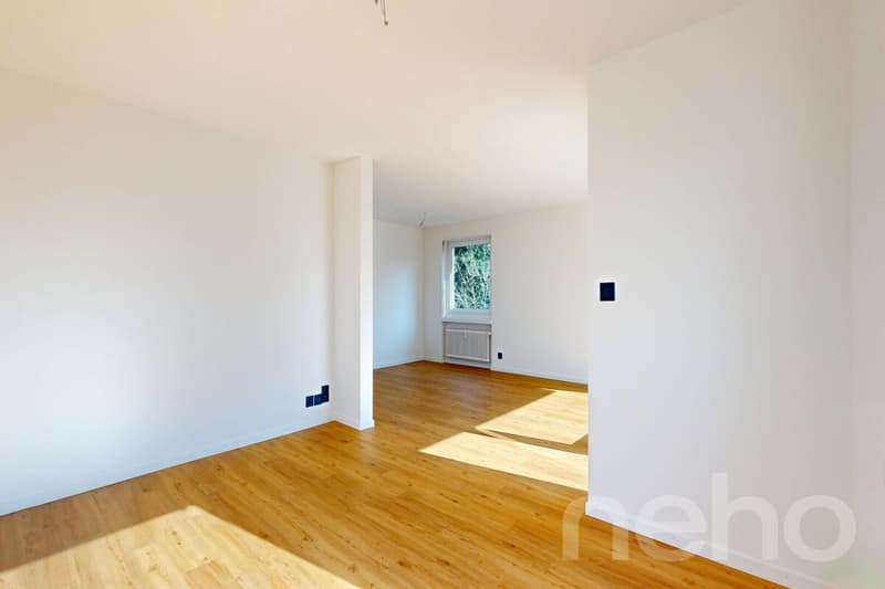 Completely renovated apartment with balcony and underground parking in Rheinfelden (8)
