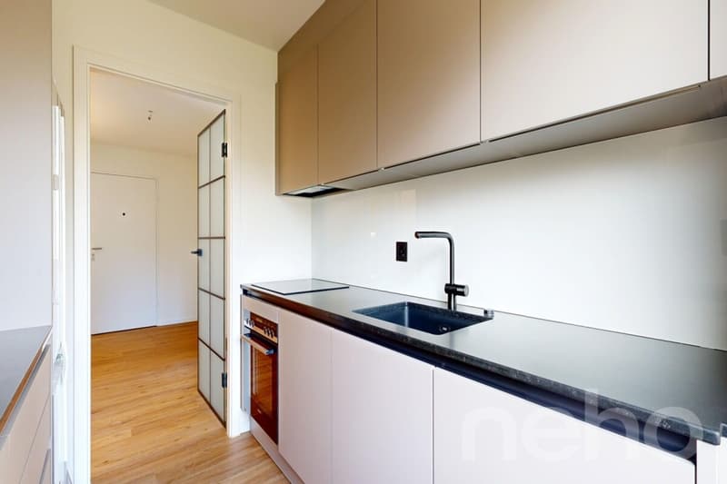 Completely renovated apartment with balcony and underground parking in Rheinfelden (2)