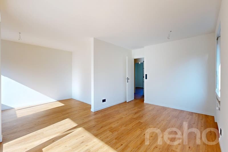 Completely renovated apartment with balcony and underground parking in Rheinfelden (7)