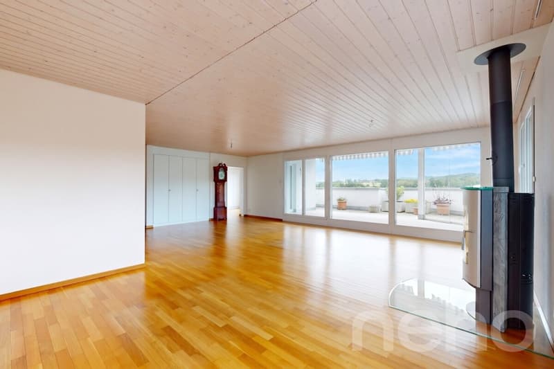 Ein Wohntraum auf einer Ebene: Attika mit Lift in die Wohnung (3)