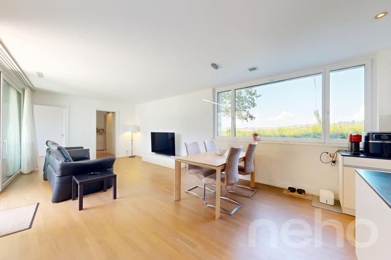 Sunny 4.5-room garden apartment (4)