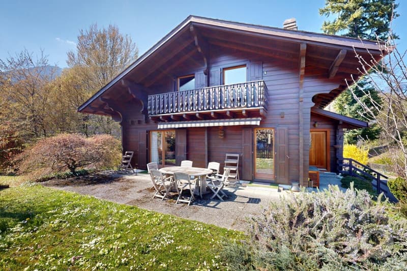 Exclusif: Charmant chalet de 4 chambres et grand jardin (3)
