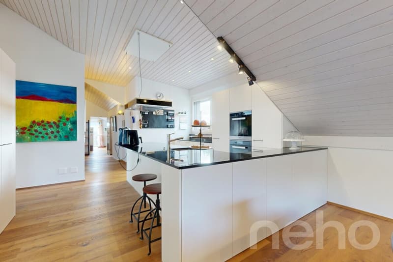 Appartement attique exclusif 5.5 pièces avec terrasse, sauna et beaucoup d'espace (5)