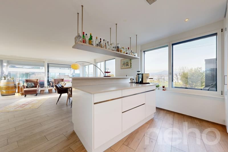 Appartement avec jardin et vue sur le lac (5)
