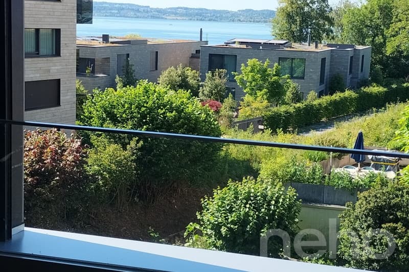Vivere esclusivo direttamente sul lago di Zurigo (12)