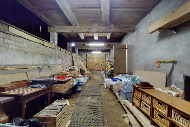 Superbe projet de rénovation, objet rare à Brenles ! (11)