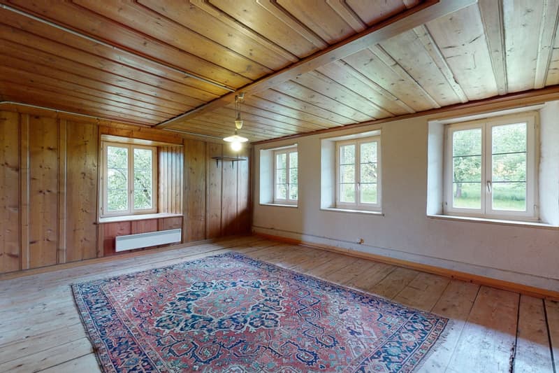 Superbe projet de rénovation, objet rare à Brenles ! (1)
