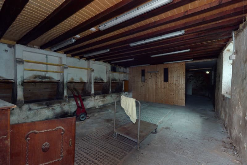 Superbe projet de rénovation, objet rare à Brenles ! (10)