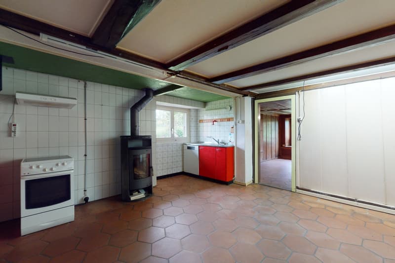 Superbe projet de rénovation, objet rare à Brenles ! (7)
