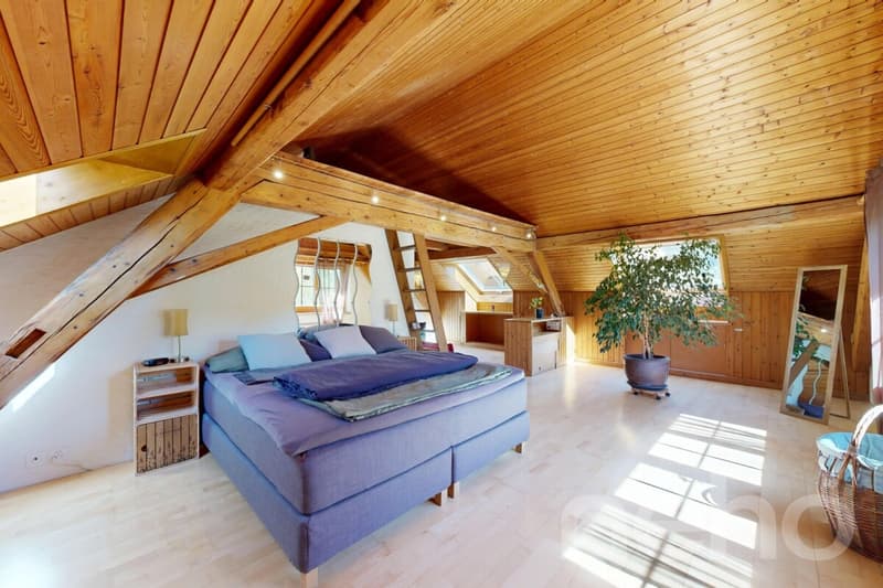 Maison historique de 6 pièces avec annexe et vue (5)