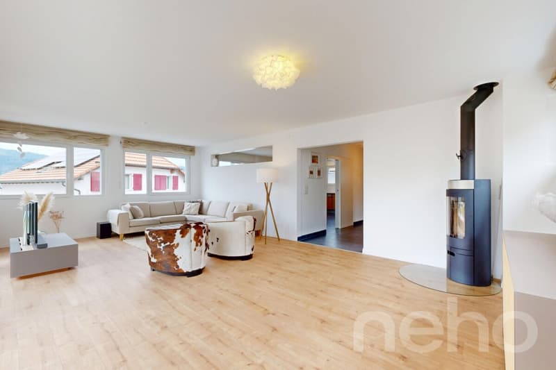 Maison familiale 6.5 p - 157m², jardin 717m² et grand confort (2)