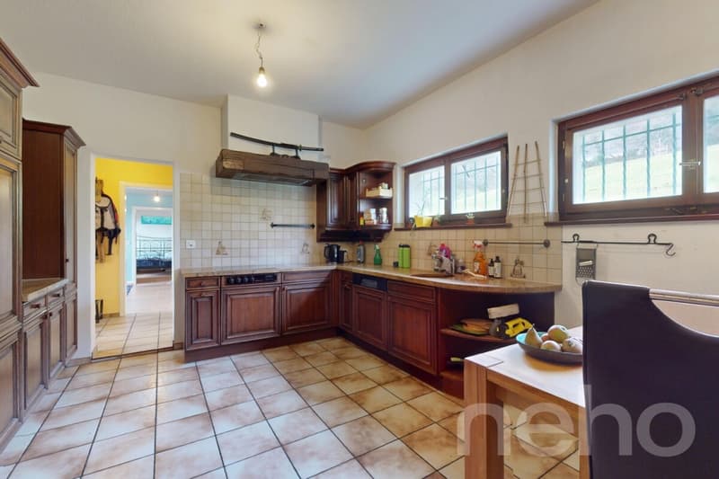 Villa charmante de 10 pièces avec appartement indépendant (9)