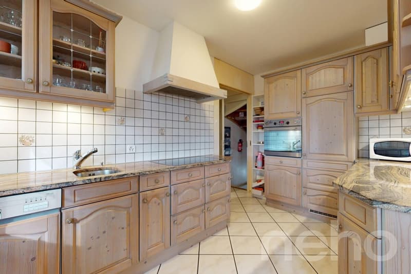 Villa charmante de 10 pièces avec appartement indépendant (1)