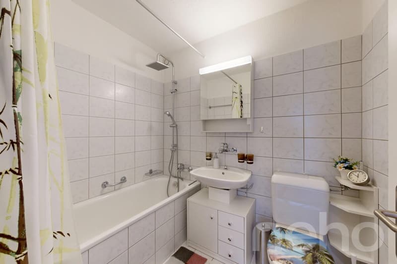 Practical apartment in central residential area in Horgen (9)