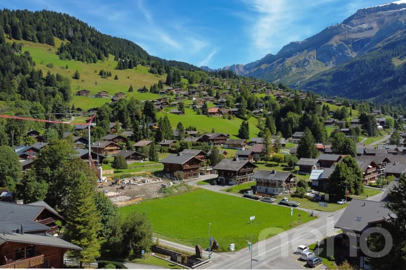 Exclusif: Magnifique terrain constructible à l'entrée du village (1)