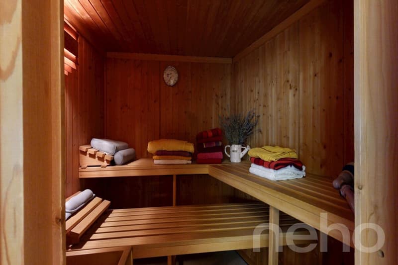 Charming 6-room single-family house with pool, sauna, and panoramic view (10)