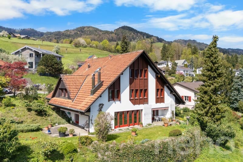 Wohnen mit Alpenpanorama - Ihr neues Zuhause in Altstätten (1)