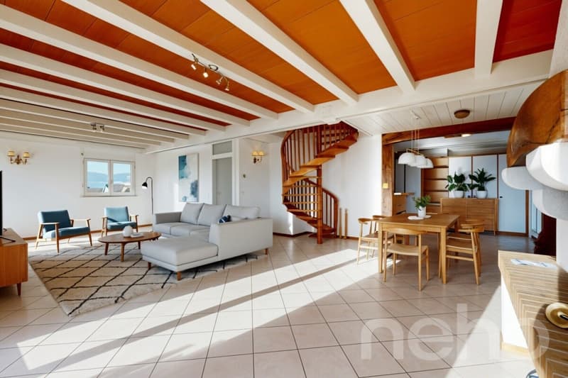 Duplex mansardato luminoso con vista libera, senza vis-à-vis (5)