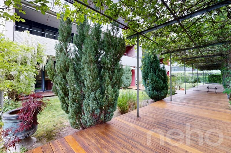 Appartamento giardino 4.5 locali con area esterna spaziosa (2)