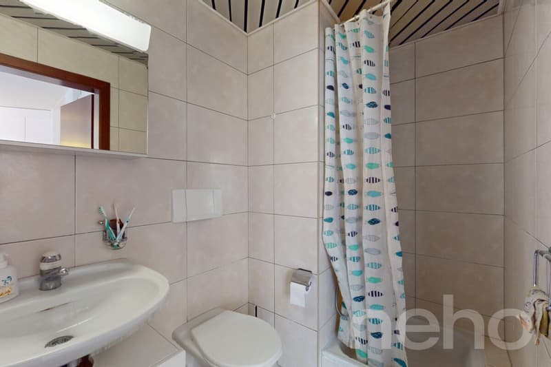 Beautiful 4.5-room apartment with lake view! (10)