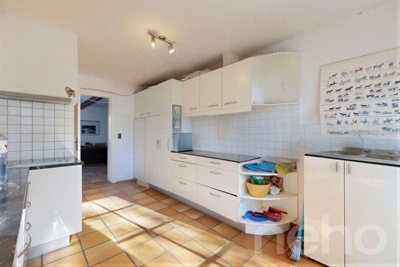 Haus mit Charme und großem Garten und schönen Räumlichkeiten (8)