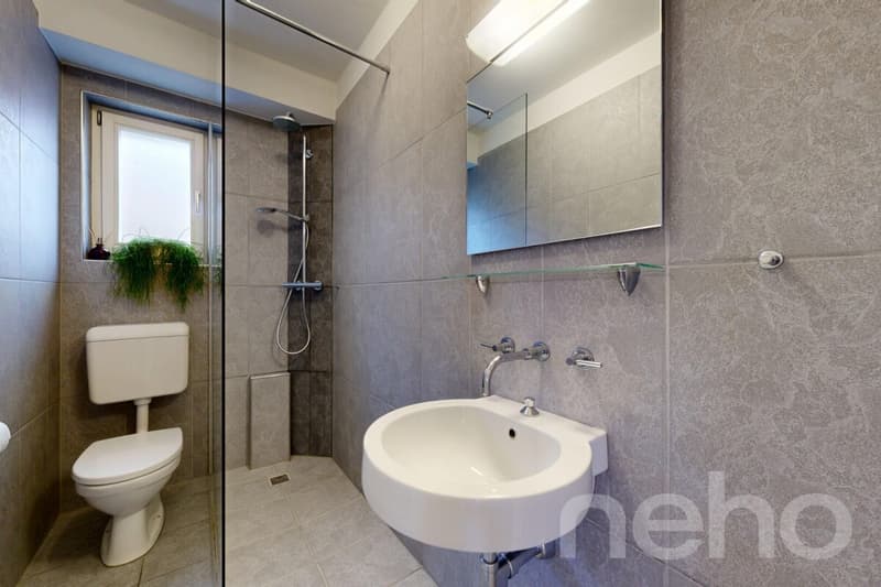 Stylish 9-room house with a view and old-building charm (9)