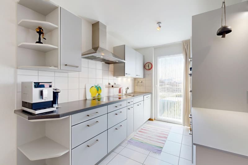 Superbe appartement 4,5 pièces avec terrasse (9)