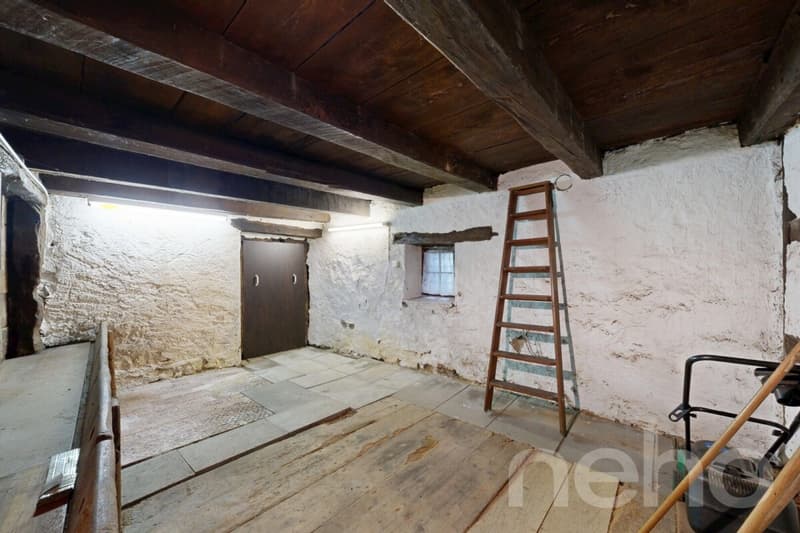 Edificio storico in una posizione centrale per un uso individuale (8)
