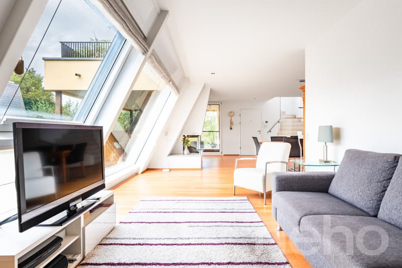 Exklusive Attika mit Einliegerwohnung und Dachterrasse (5)