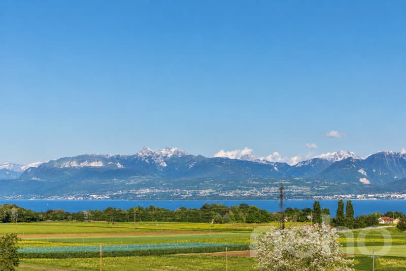Spacieuse maison avec panorama spectaculaire sur le lac et les Alpes (1)